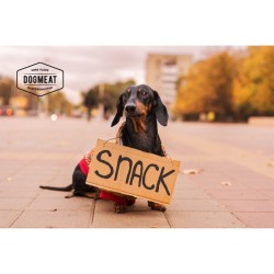 Dogmeat | Snack | Snack Eendenloopvoeten naturel | 1000 gram